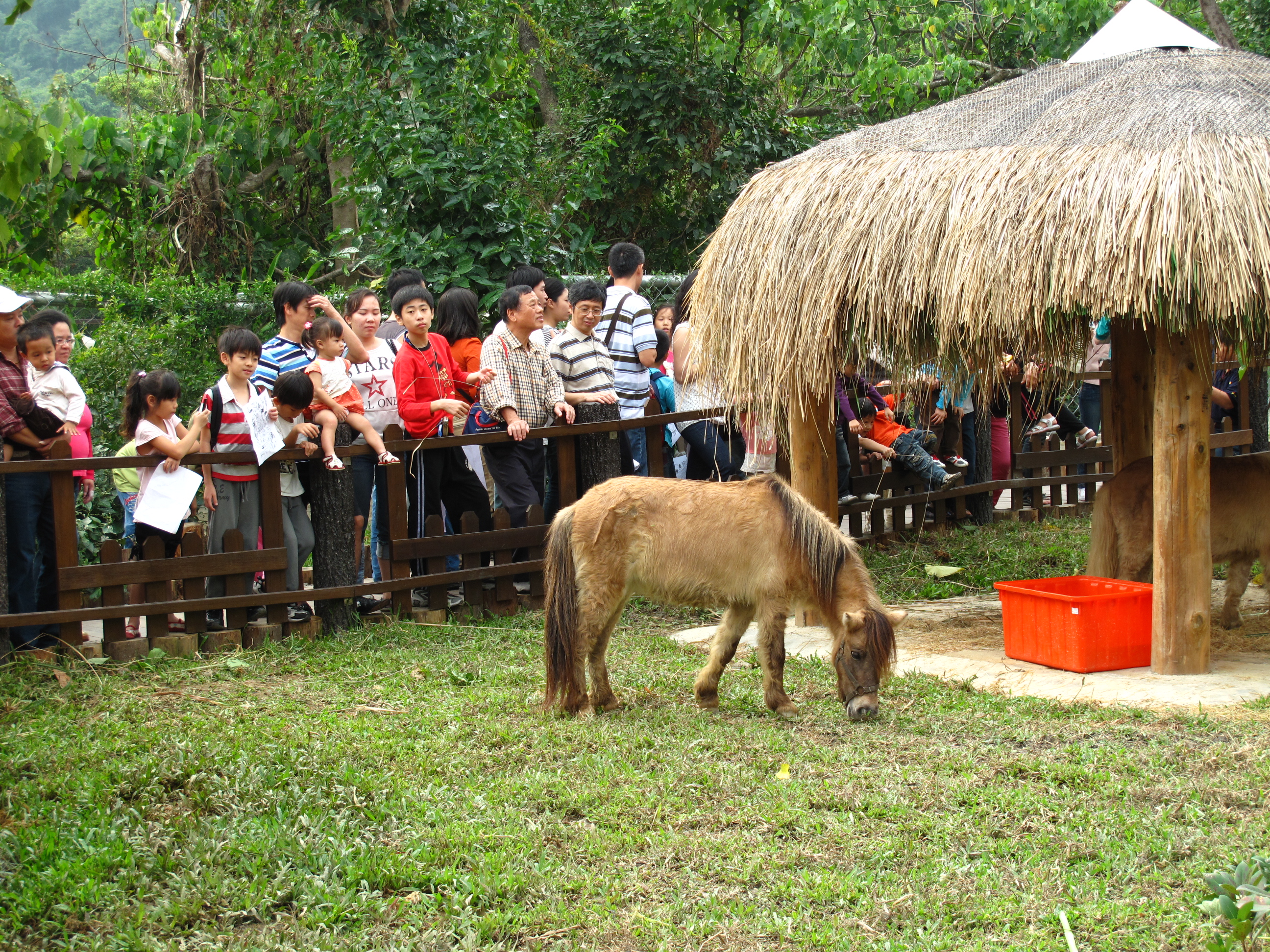 兒童牧場引入休閒農場概念，讓遊客接觸可愛溫馴動物。（圖／凌卓民攝）