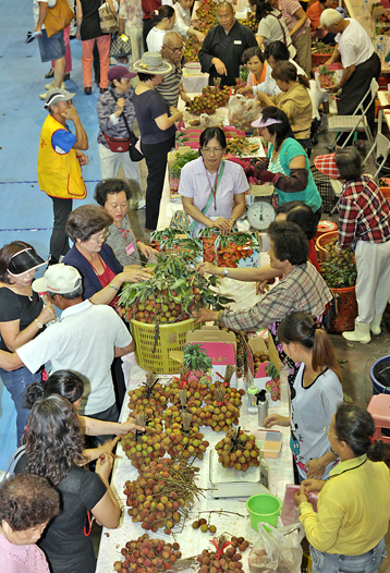 鳳荔文化觀光季中的荔枝品嚐會，吸引民眾一嚐荔枝美味。(圖/大樹區公所提供)