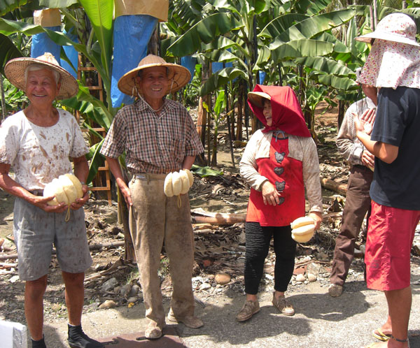 當地老蕉農被邀請加入台青蕉MV拍攝的行列，紀錄下旗山蕉農的可愛笑容。 (圖/ 台青蕉樂團 提供)