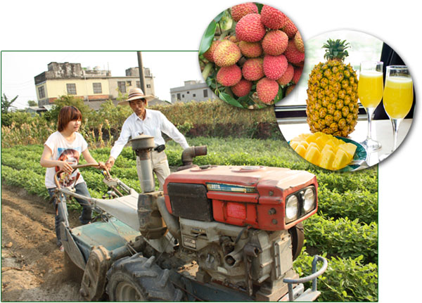 農業體驗活動讓民眾親自感受栽種和採收農作物的樂趣。(圖/城市紀憶公關公司 提供)