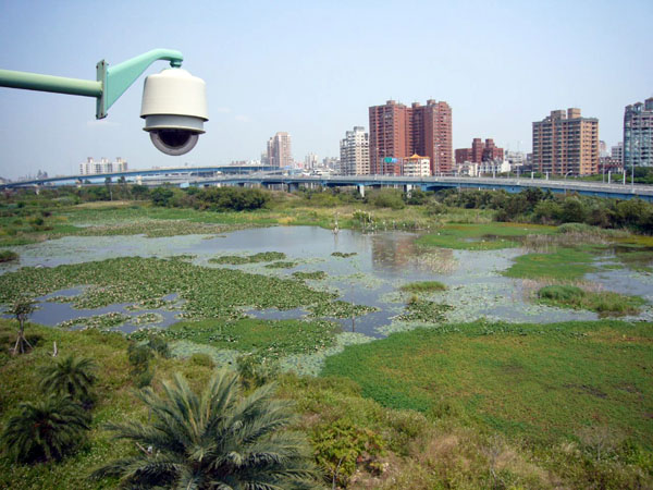 以生態為主軸的荒野型濕地─洲仔濕地。（圖/Formosa Wandering）