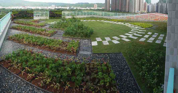 七賢國中屋頂花園擴大城市綠地面積。（圖/金碩實業）