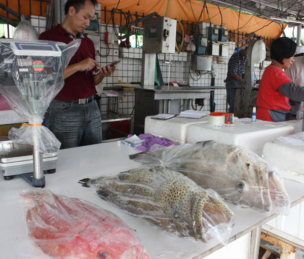 各種少見的深海魚類，可以在前鎮漁港下午開始的攤販區中買到。(圖/涂毓婷 攝)