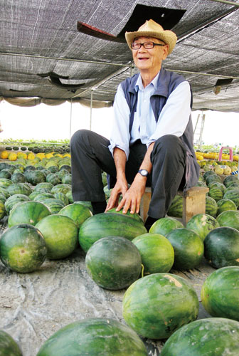 農友種苗公司培育出兩百多種西瓜新品種。(照片提供：農友種苗公司)  Known-you developed more than 200 new varieties  of watermelon.(Photo courtesy of Known-you Seed Co., Ltd.)
