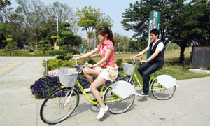 享受騎著自行車徜佯在美麗的高雄市。Enjoy biking around beautiful city.