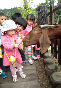 小朋友們很喜歡到動物園進行戶外教學Zoo field trips are popular